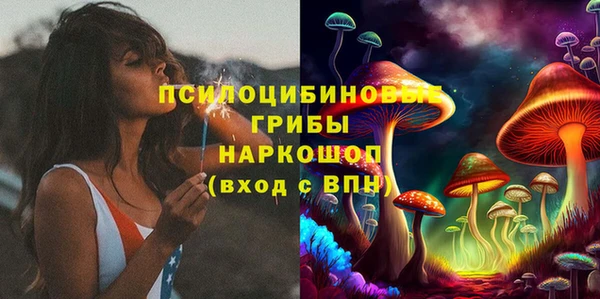 крисы Карпинск