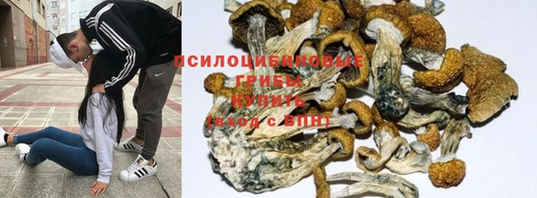 хмурый Карталы