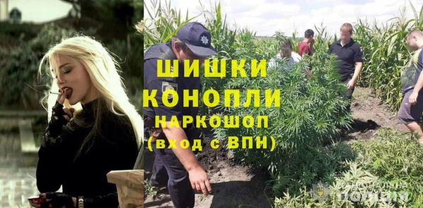 крисы Карпинск
